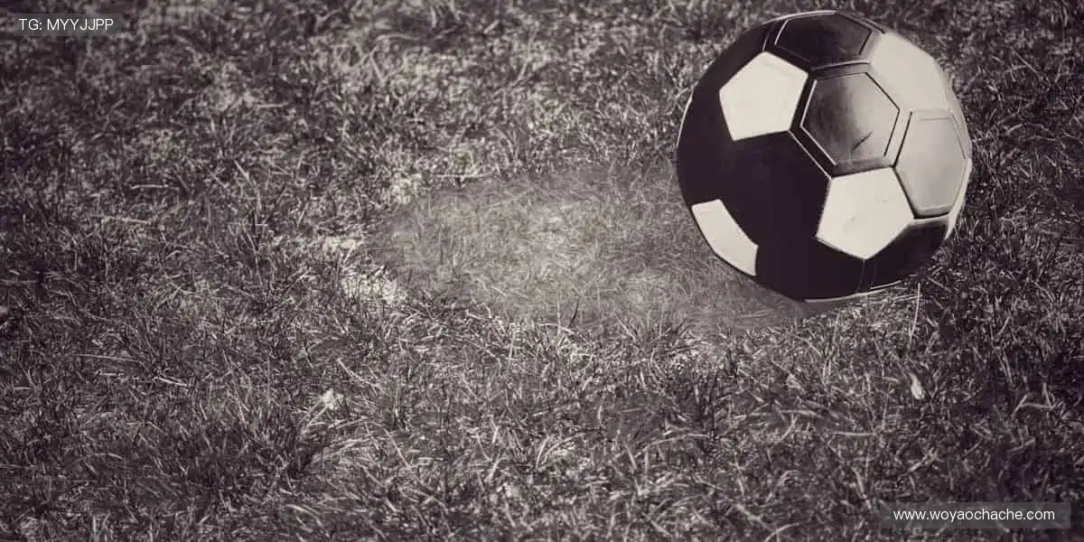 ✨即刻出发，共赴热爱！下一个传奇，由你我共同书写！